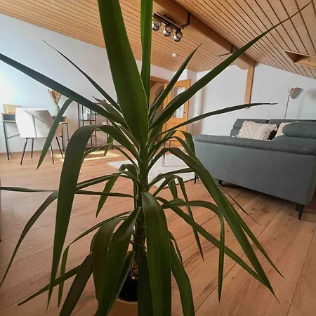 Apartment Sweet - Gemuetliche *