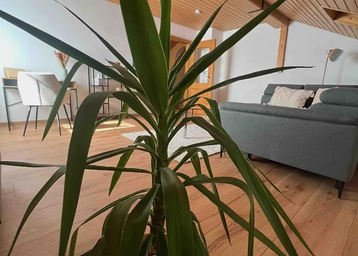 Apartmán Sweet - Gemuetliche *